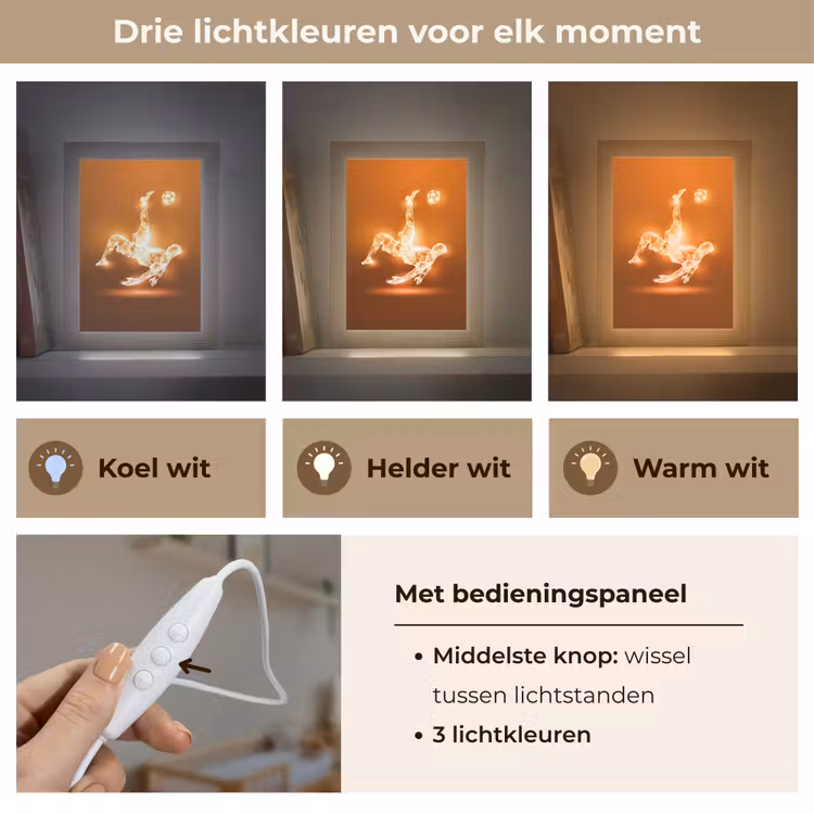 Voetballer - Oranje - Voetbal - Omhaal Light Box met kabel klein -USP_lichtkleurNL