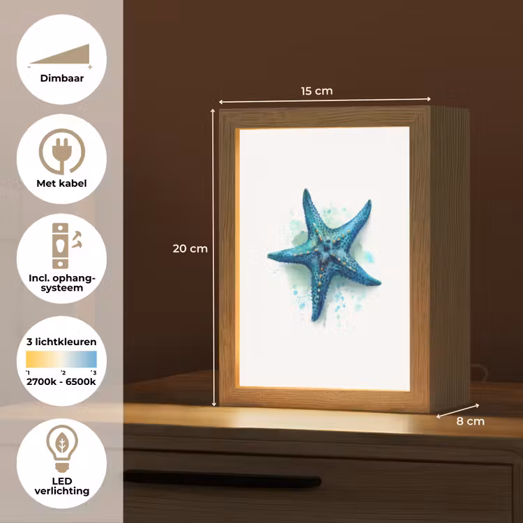 Zeester - Blauw - Spetters Light Box met kabel klein -USP_NL