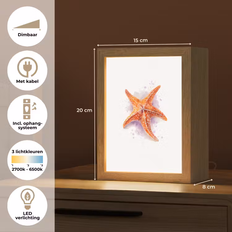Zeester - Oranje - Paars Light Box met kabel klein -USP_NL