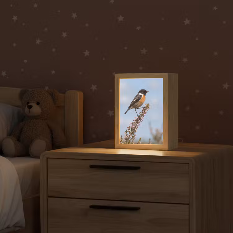 Roodborsttapuit - Heide - Paars - Natuur - Sfeervol Light Box met kabel (Kinderlampje) klein -sfeer1_kind