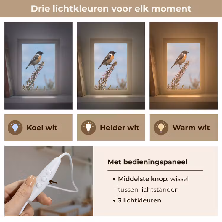 Roodborsttapuit - Heide - Paars - Natuur - Sfeervol Light Box met kabel (Kinderlampje) klein -USP_lichtkleurNL