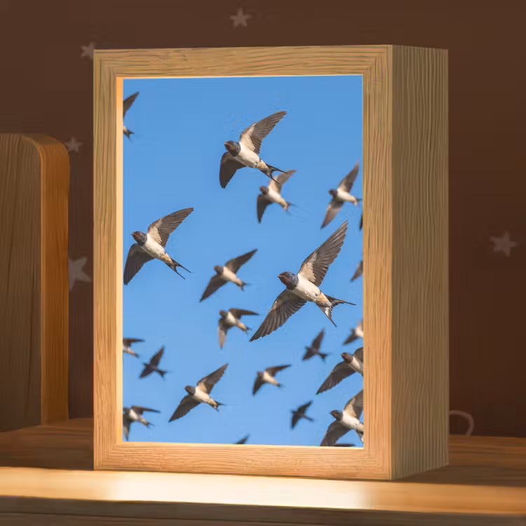 Zwaluwen - Vliegen - Blauw Light Box met kabel (Kinderlampje) klein -zzz_3d_website