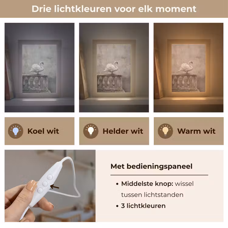 Zwaan - Elegant - Dieren - Wit Light Box met kabel (Kinderlampje) klein -USP_lichtkleurNL