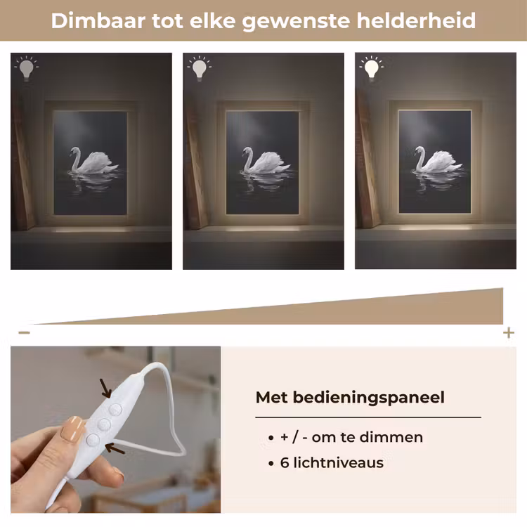 Zwaan - Water - Natuur - Realistisch - Wit Light Box met kabel (Kinderlampje) klein -USP_dimbaarNL