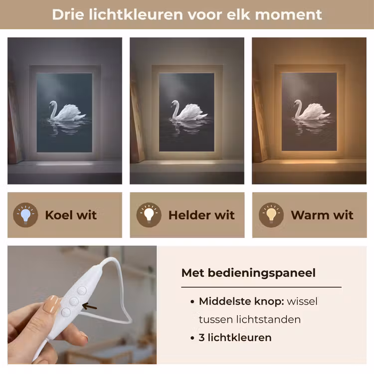 Zwaan - Water - Natuur - Realistisch - Wit Light Box met kabel (Kinderlampje) klein -USP_lichtkleurNL