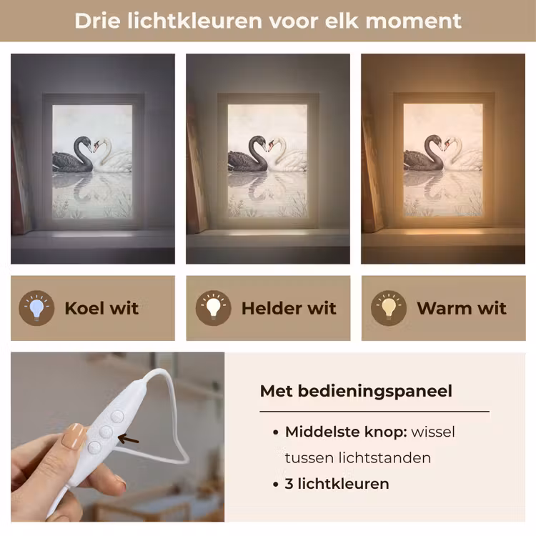 Zwanen - Hartvorm - Dieren Light Box met kabel (Kinderlampje) klein -USP_lichtkleurNL