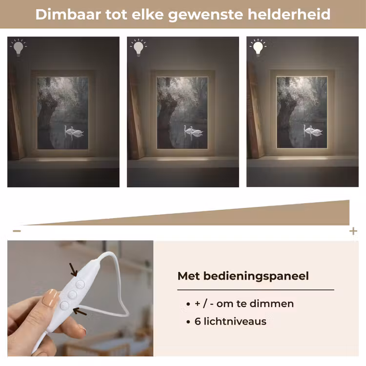 Zwanen - Rivier - Bos Light Box met kabel (Kinderlampje) klein -USP_dimbaarNL