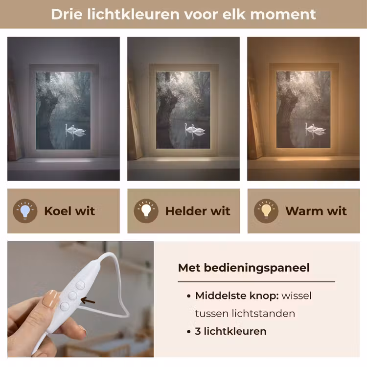 Zwanen - Rivier - Bos Light Box met kabel (Kinderlampje) klein -USP_lichtkleurNL