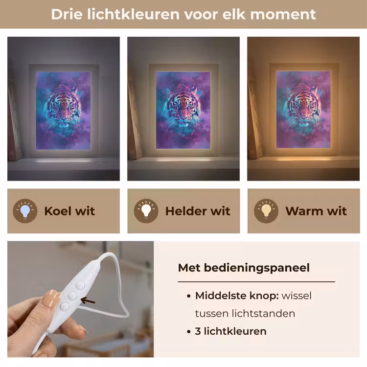 Tijger - Kleurrijk - Rook - Dieren Light Box met kabel klein -USP_lichtkleurNL