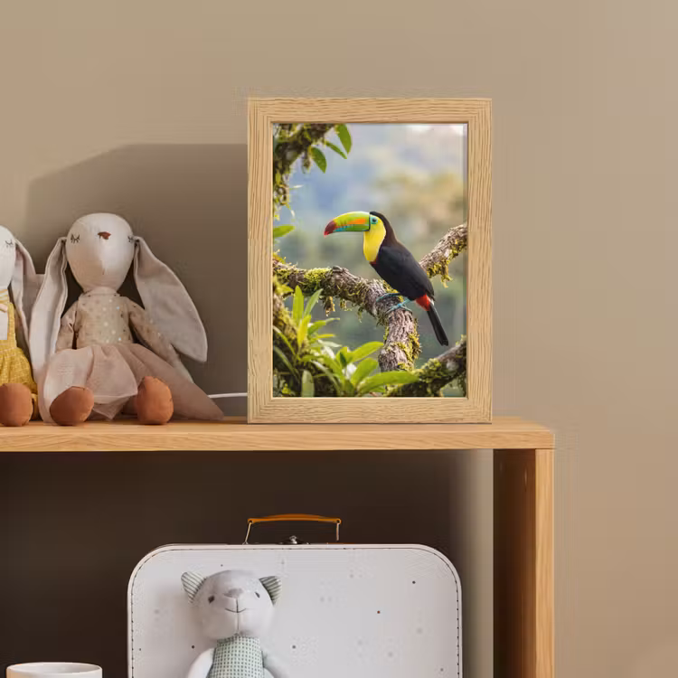 Toekan - Jungle - Natuur - Kleurrijk Light Box met kabel (Kinderlampje) klein -sfeer2_kind