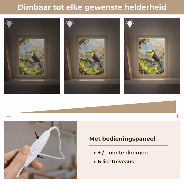 Toekan - Jungle - Natuur - Kleurrijk Light Box met kabel (Kinderlampje) klein -USP_dimbaarNL
