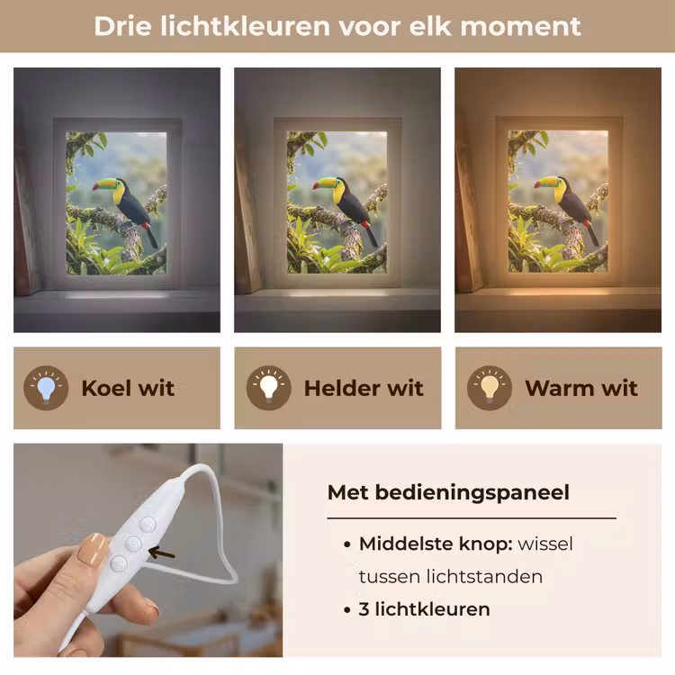 Toekan - Jungle - Natuur - Kleurrijk Light Box met kabel (Kinderlampje) klein -USP_lichtkleurNL