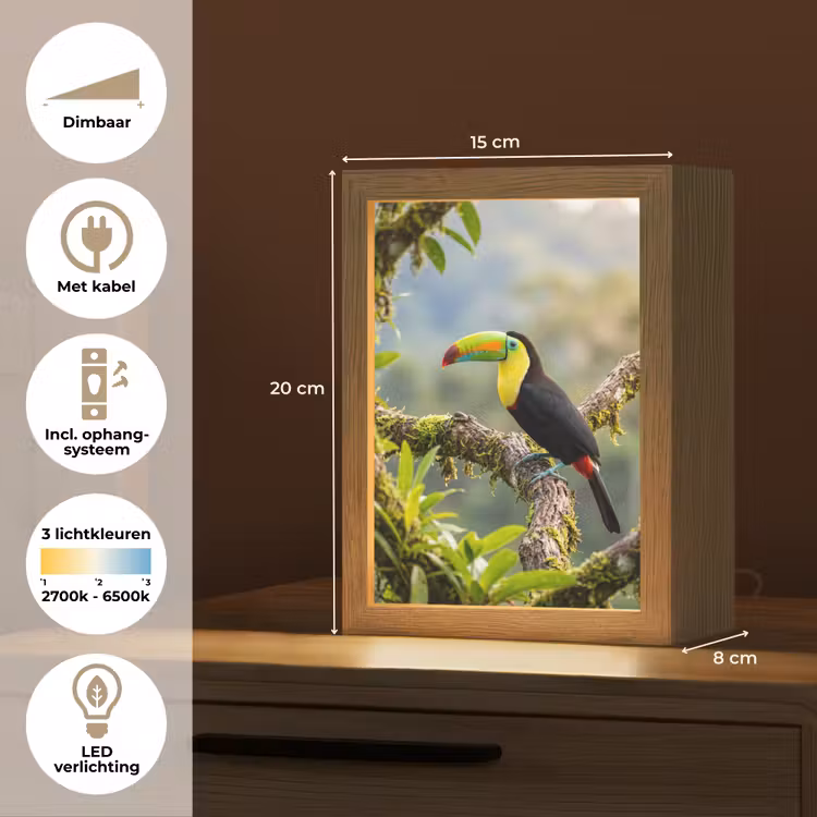 Toekan - Jungle - Natuur - Kleurrijk Light Box met kabel (Kinderlampje) klein -USP_NL