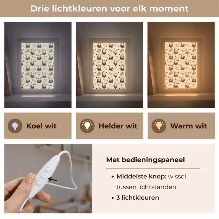 Toekans - Exotisch - Kleurrijk Light Box met kabel (Kinderlampje) klein 904 -USP_lichtkleurNL