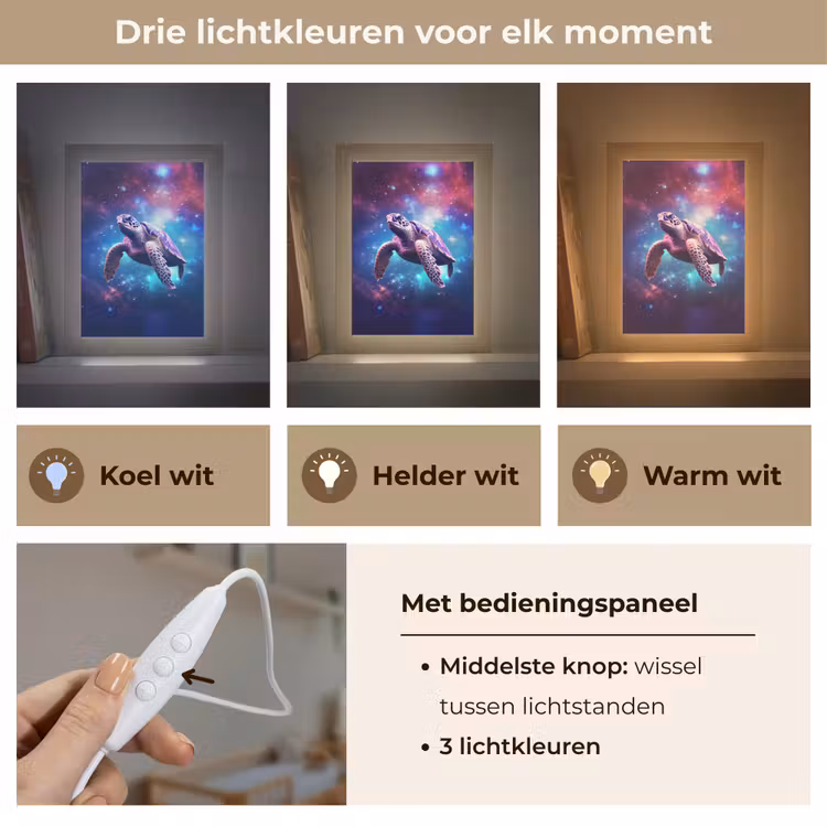 Schildpad - Dier - Galaxy - Ruimte Light Box met kabel klein -USP_lichtkleurNL