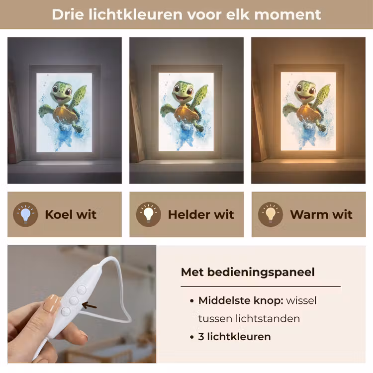 Schildpad - Cartoon - Water - Groen Light Box met kabel klein -USP_lichtkleurNL