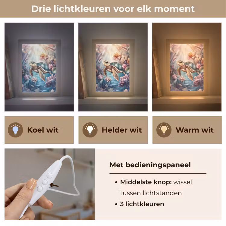 Schildpad - Bloemen - Onderwater Light Box met kabel klein -USP_lichtkleurNL