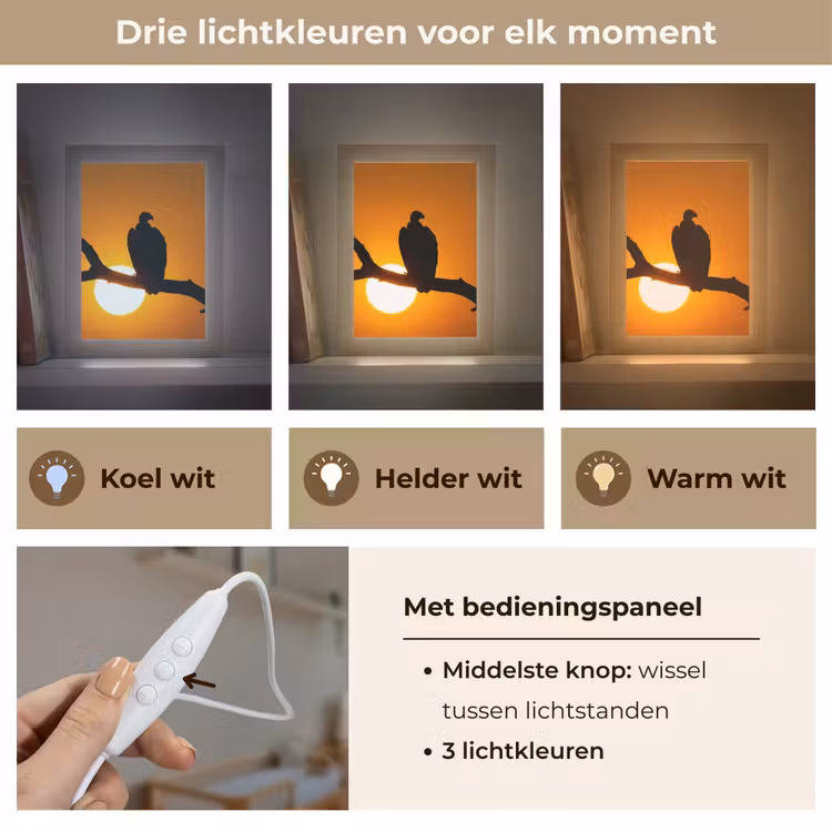Gier - Tak - Zon - Oranje Light Box met kabel (Kinderlampje) klein -USP_lichtkleurNL