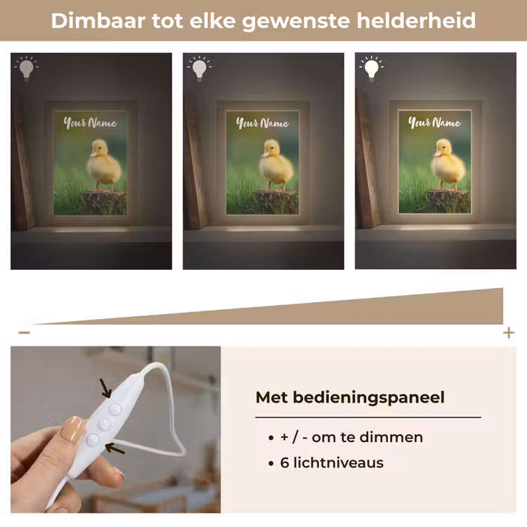 Kuiken - Eend - Geel - Gras Light Box met kabel (Kinderlampje) klein -USP_dimbaarNL