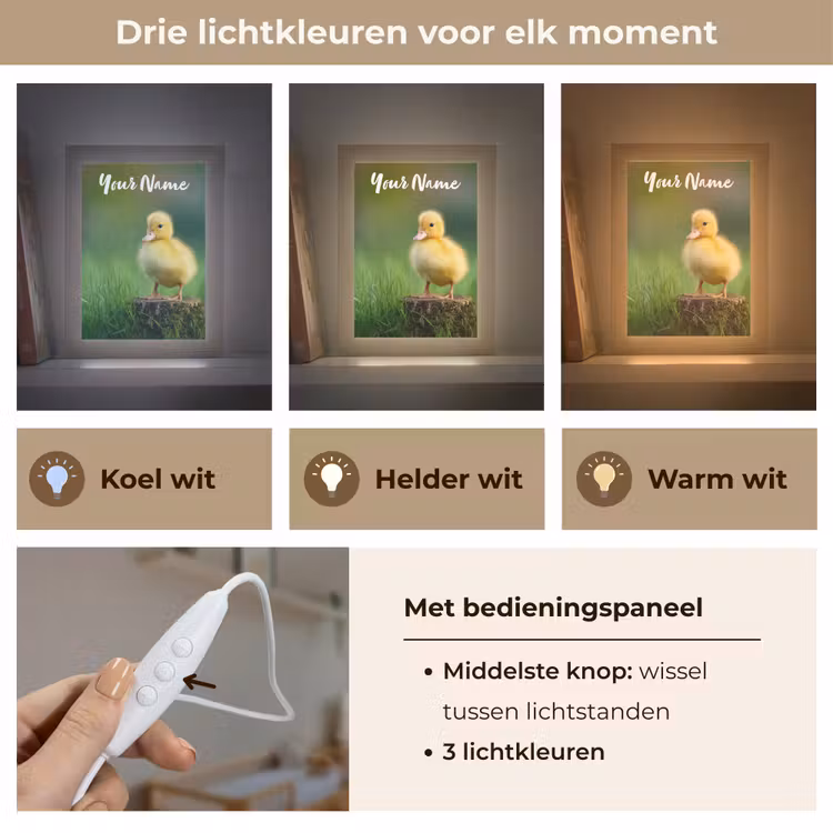 Kuiken - Eend - Geel - Gras Light Box met kabel (Kinderlampje) klein -USP_lichtkleurNL