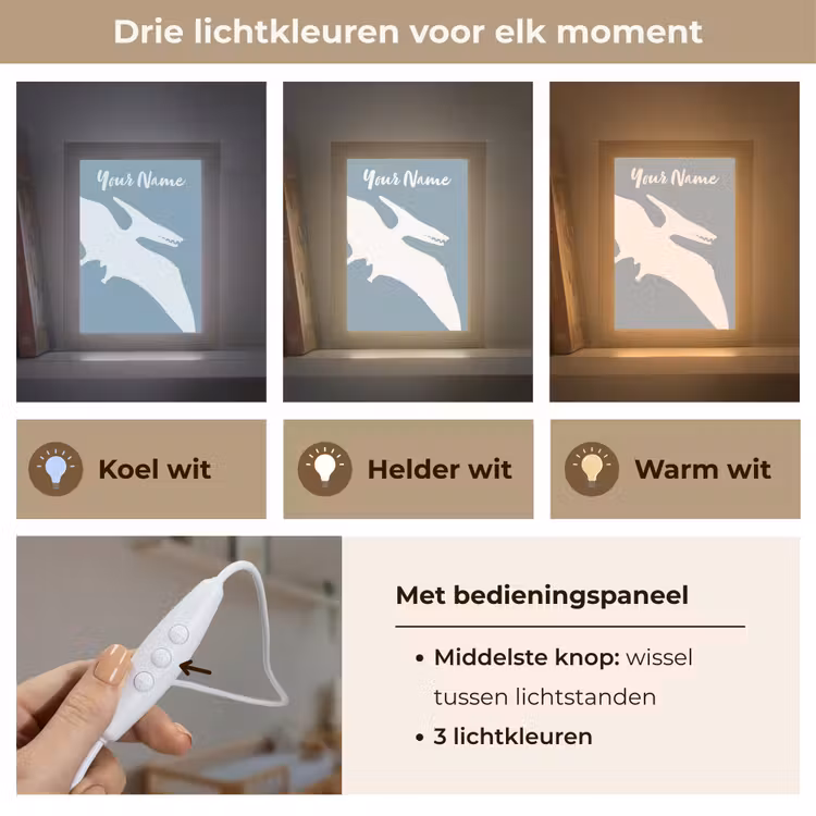 Dino - Pteranodon - Dinosaurus - Blauw Light Box met kabel (Kinderlampje) klein -USP_lichtkleurNL