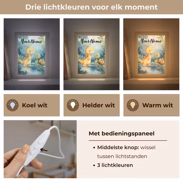 Dino - Schildpad - Jungle Light Box met kabel (Kinderlampje) klein -USP_lichtkleurNL