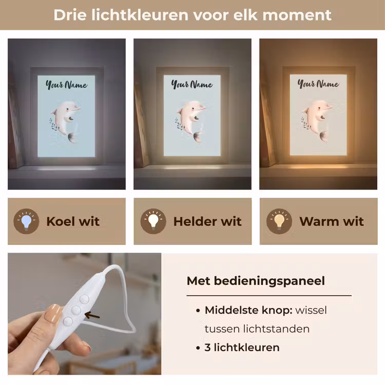 Dolfijn - Zeewier - Grijs Light Box met kabel (Kinderlampje) klein -USP_lichtkleurNL