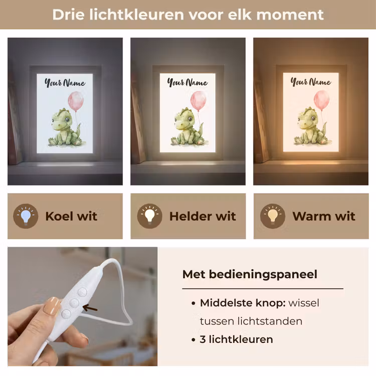 Draak - Baby dier - Roze ballon Light Box met kabel (Kinderlampje) klein -USP_lichtkleurNL