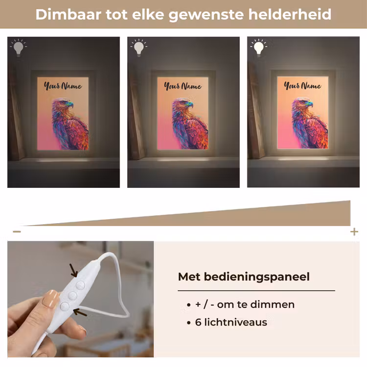 Arend - Vogel - Kleurrijk - Dier Light Box met kabel (Kinderlampje) klein -USP_dimbaarNL