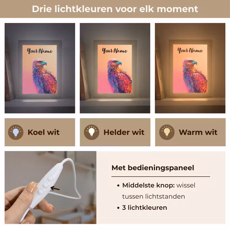 Arend - Vogel - Kleurrijk - Dier Light Box met kabel (Kinderlampje) klein -USP_lichtkleurNL
