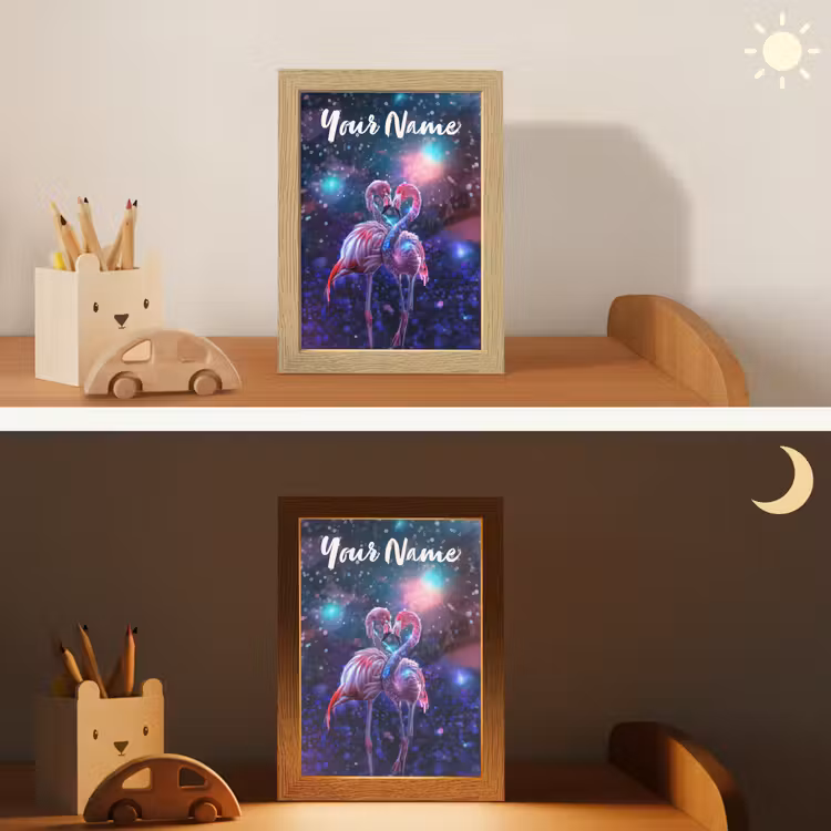 Flamingo's - Dieren - Ruimte - Galaxy Light Box met kabel (Kinderlampje) klein -sfeer3_kind