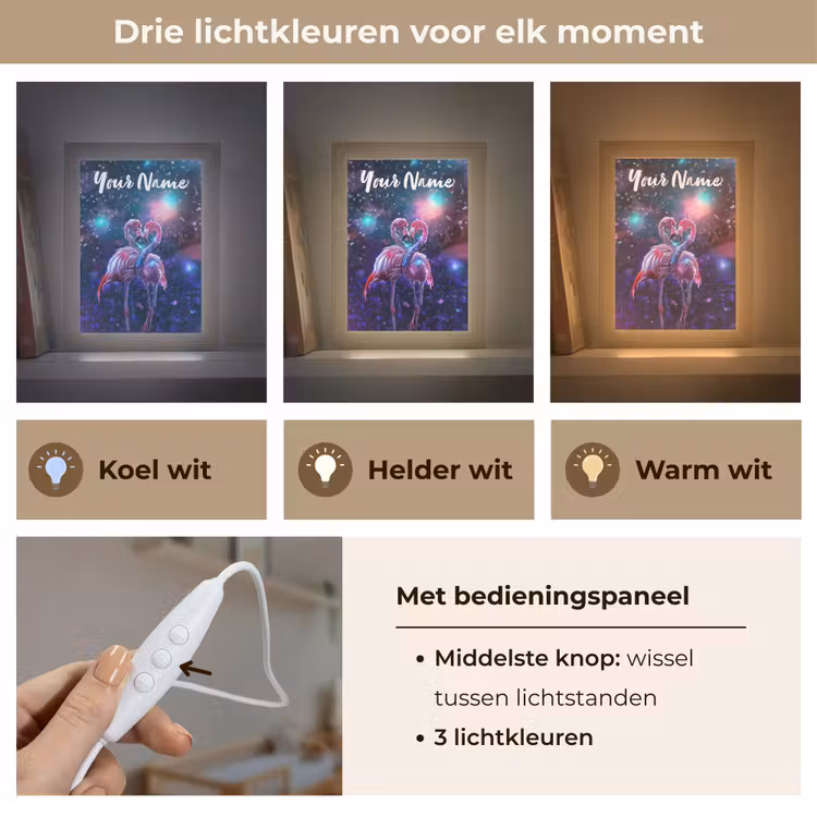 Flamingo's - Dieren - Ruimte - Galaxy Light Box met kabel (Kinderlampje) klein -USP_lichtkleurNL