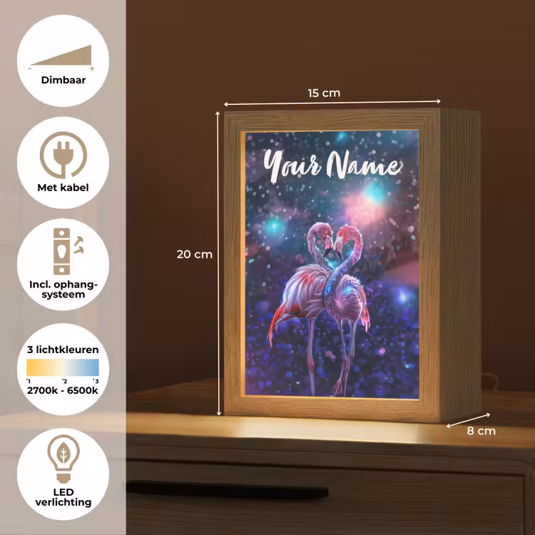 Flamingo's - Dieren - Ruimte - Galaxy Light Box met kabel (Kinderlampje) klein -USP_NL
