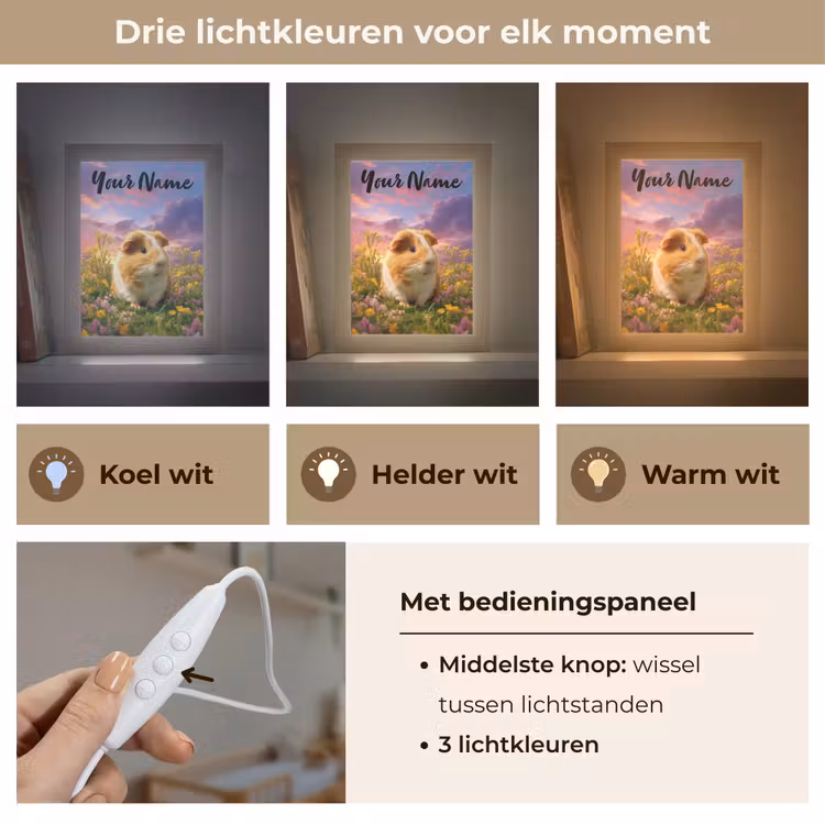Cavia - Kleurrijk - Bloemen Light Box met kabel (Kinderlampje) klein -USP_lichtkleurNL