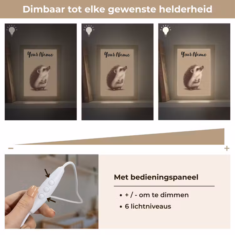 Egel - Snuitje - Bruin - Stekels Light Box met kabel (Kinderlampje) klein -USP_dimbaarNL