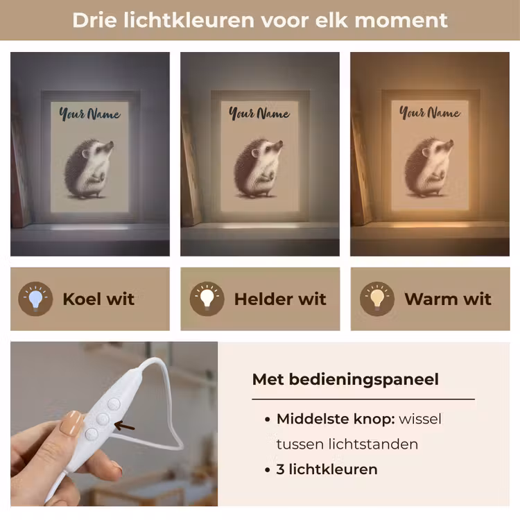 Egel - Snuitje - Bruin - Stekels Light Box met kabel (Kinderlampje) klein -USP_lichtkleurNL
