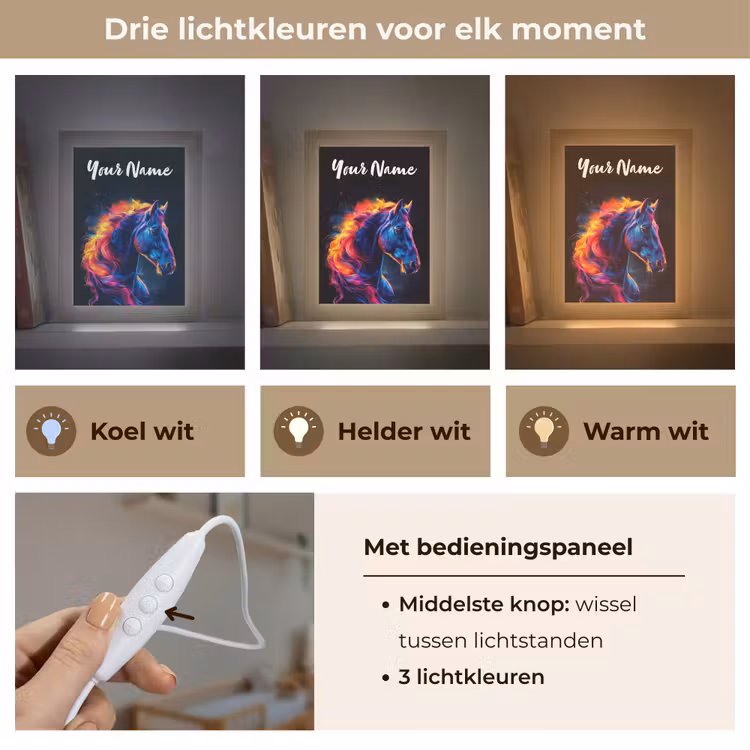 Paard - Dier - Rook - Zwart - Kleuren Light Box met kabel (Kinderlampje) klein -USP_lichtkleurNL