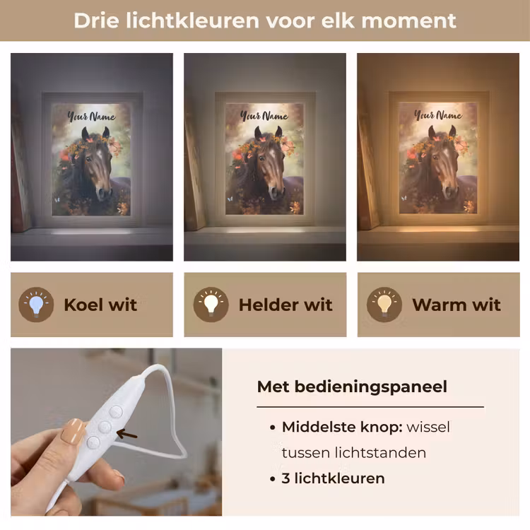 Paard - Dieren - Bloemen - Bos - Vlinder Light Box met kabel (Kinderlampje) klein -USP_lichtkleurNL