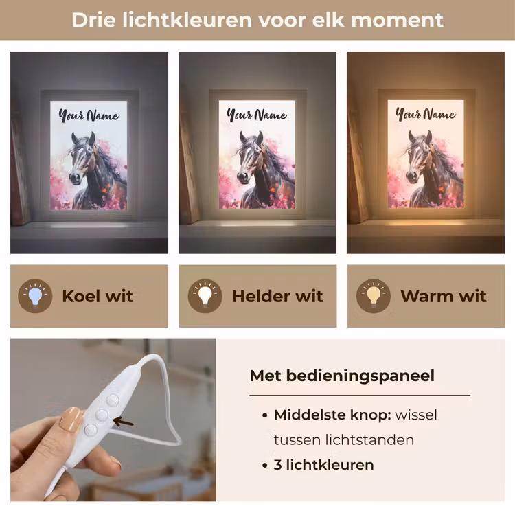 Paard - Dieren - Meisje - Roze Light Box met kabel (Kinderlampje) klein -USP_lichtkleurNL