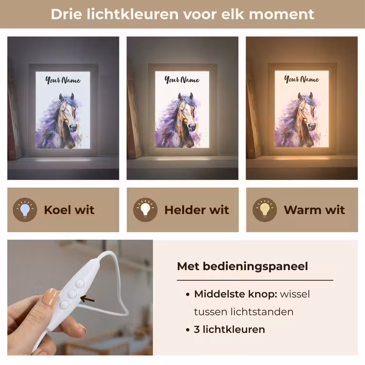Paard - Dieren - Meiden - Paars - Bruin Light Box met kabel (Kinderlampje) klein -USP_lichtkleurNL