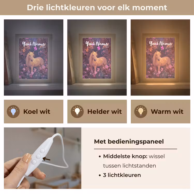 Paard - Bloemen - Paars - Vlinder Light Box met kabel (Kinderlampje) klein -USP_lichtkleurNL