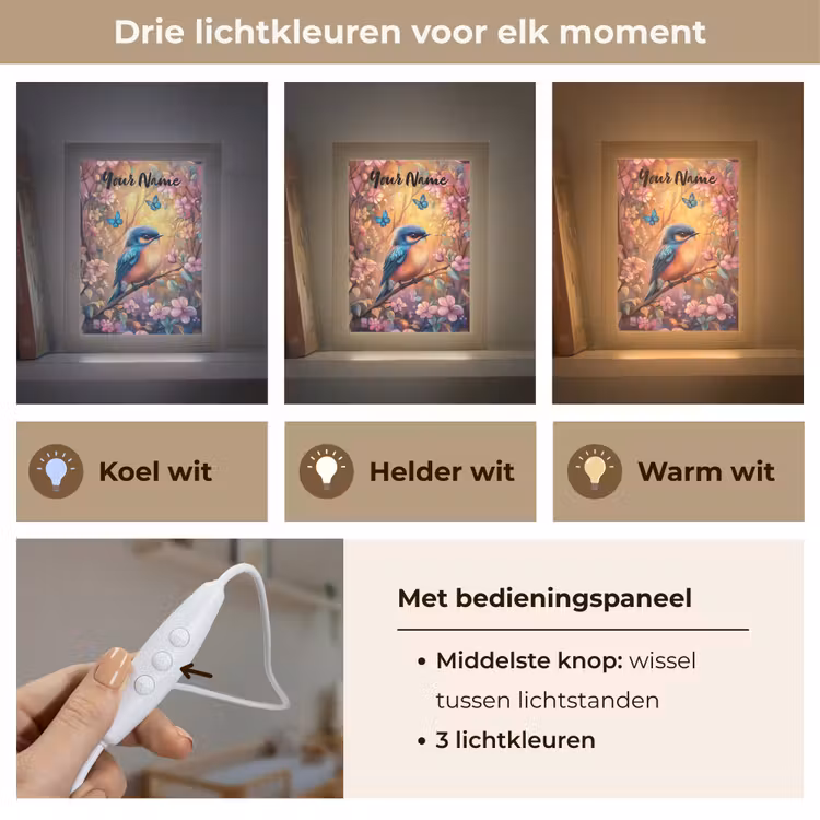 IJsvogel - Sprookjesbos - Roze - Bloemen Light Box met kabel (Kinderlampje) klein -USP_lichtkleurNL