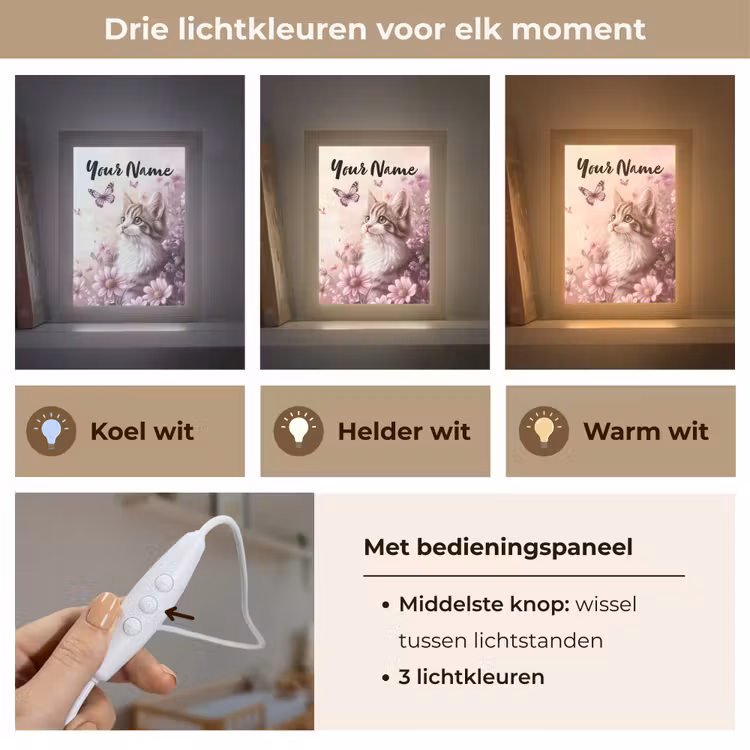 Kitten - Bloemen - Vlinders - Paars Light Box met kabel (Kinderlampje) klein -USP_lichtkleurNL
