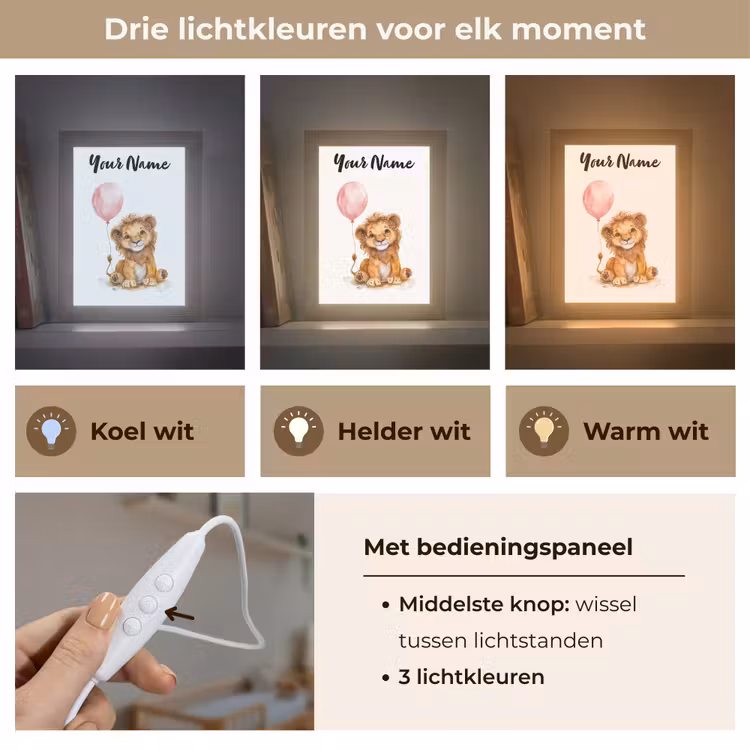 Leeuw - Baby dier - Dieren - Roze ballon Light Box met kabel (Kinderlampje) klein -USP_lichtkleurNL