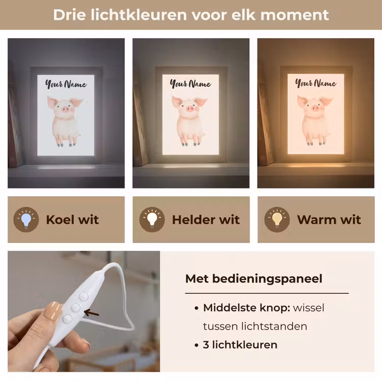 Varken - Roze - Dier - Pastel kleuren Light Box met kabel (Kinderlampje) klein -USP_lichtkleurNL