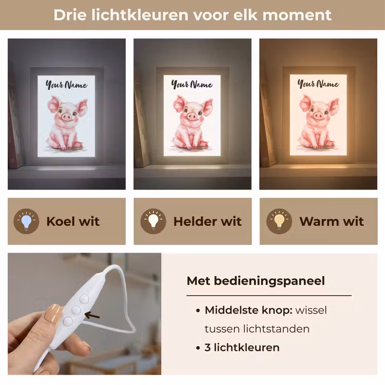 Varken - Roze - Baby dier - Boerderij dieren Light Box met kabel (Kinderlampje) klein -USP_lichtkleurNL