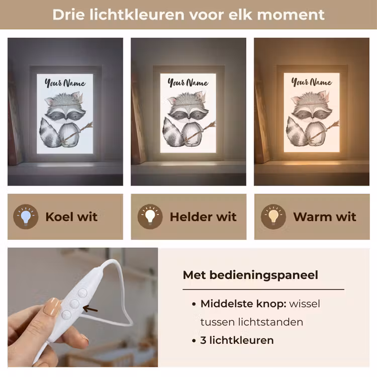 Wasbeer - Dier - Bosdieren Light Box met kabel (Kinderlampje) klein -USP_lichtkleurNL