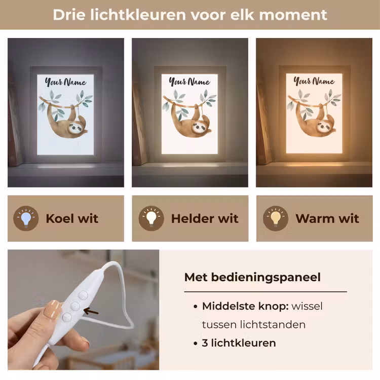 Luiaard - Dier - Jungle dieren Light Box met kabel (Kinderlampje) klein -USP_lichtkleurNL