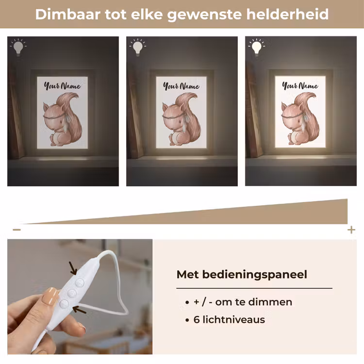 Eekhoorn - Dier - Bosdieren - Bruin Light Box met kabel (Kinderlampje) klein -USP_dimbaarNL