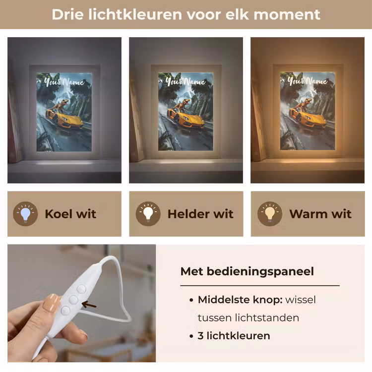 T-Rex - Auto - Regenwoud Light Box met kabel (Kinderlampje) klein -USP_lichtkleurNL